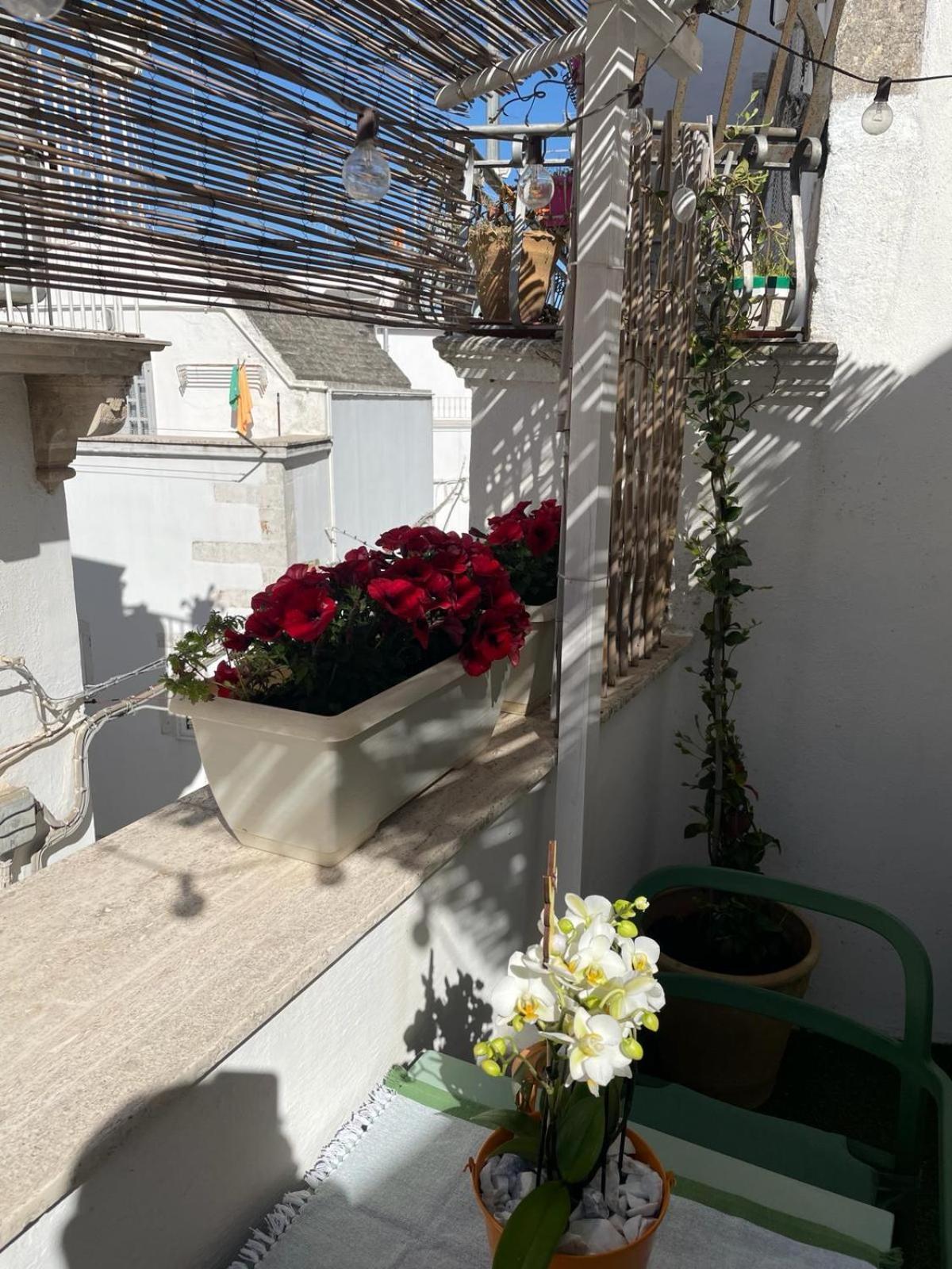 Casa Del Riccio Nel Centro Storico Apartment Martina Franca Exterior foto